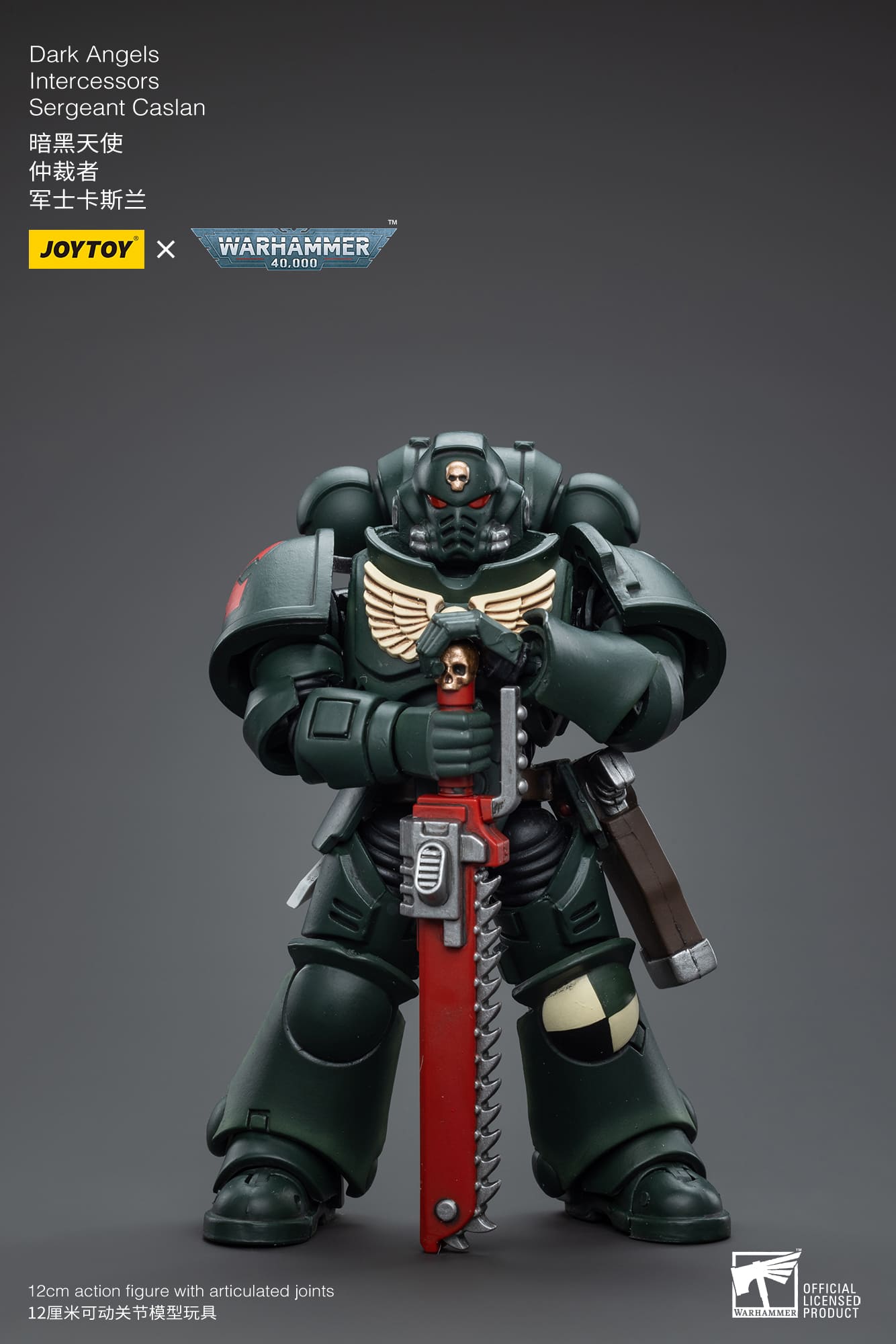 Dark Angels
Intercessors
Sergeant Caslan