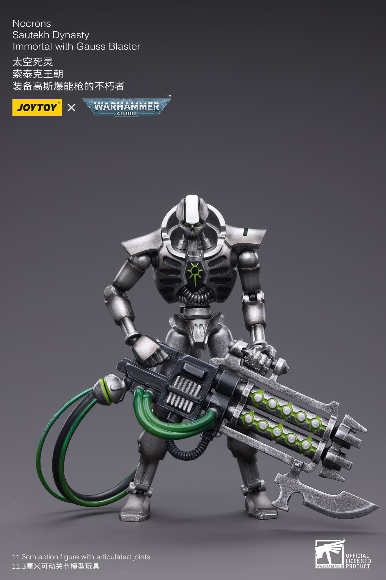 WH 40K-Necrons Sautekh Dynasty Immortal with Gauss Blaster