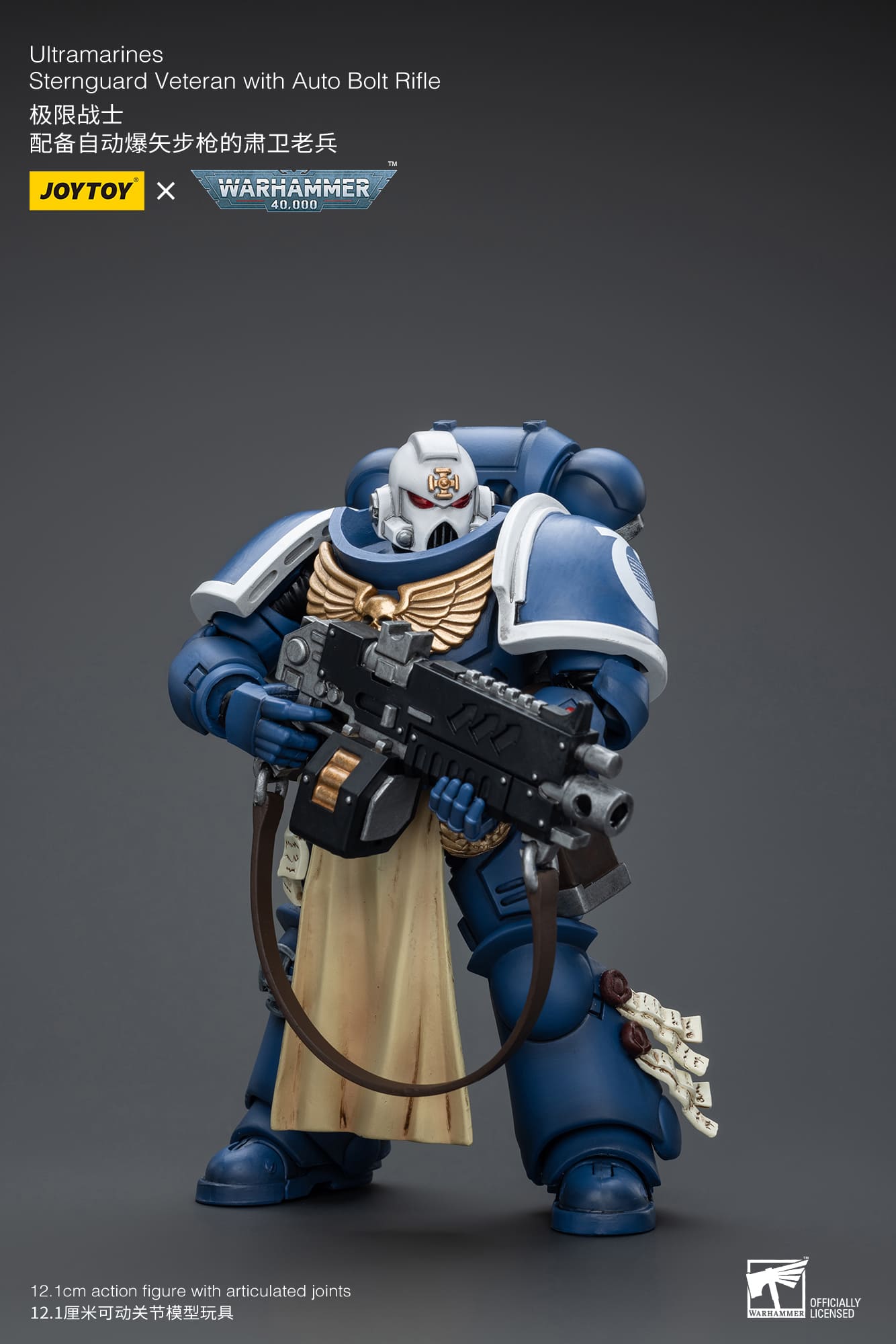 Ultramarines
Sternguard Veteran with Auto Bolt Rifle