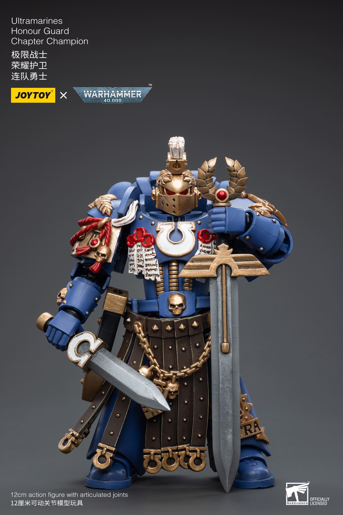 Ultramarines
Honour Guard
Chapter Champion