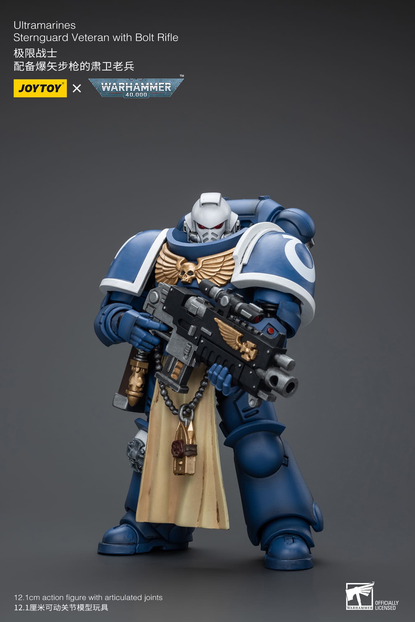 Ultramarines
Sternguard Veteran with Bolt Rifle