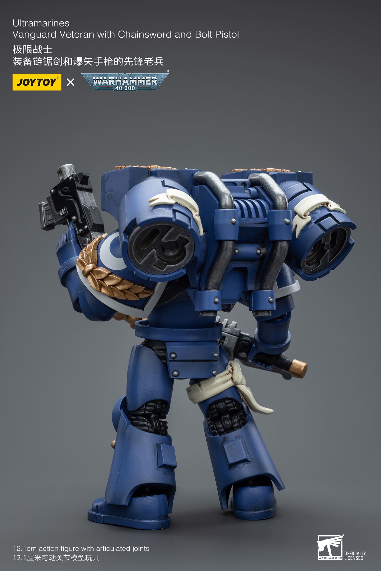 Ultramarines
Vanguard Veteran with Chainsword and Bolt Pistol