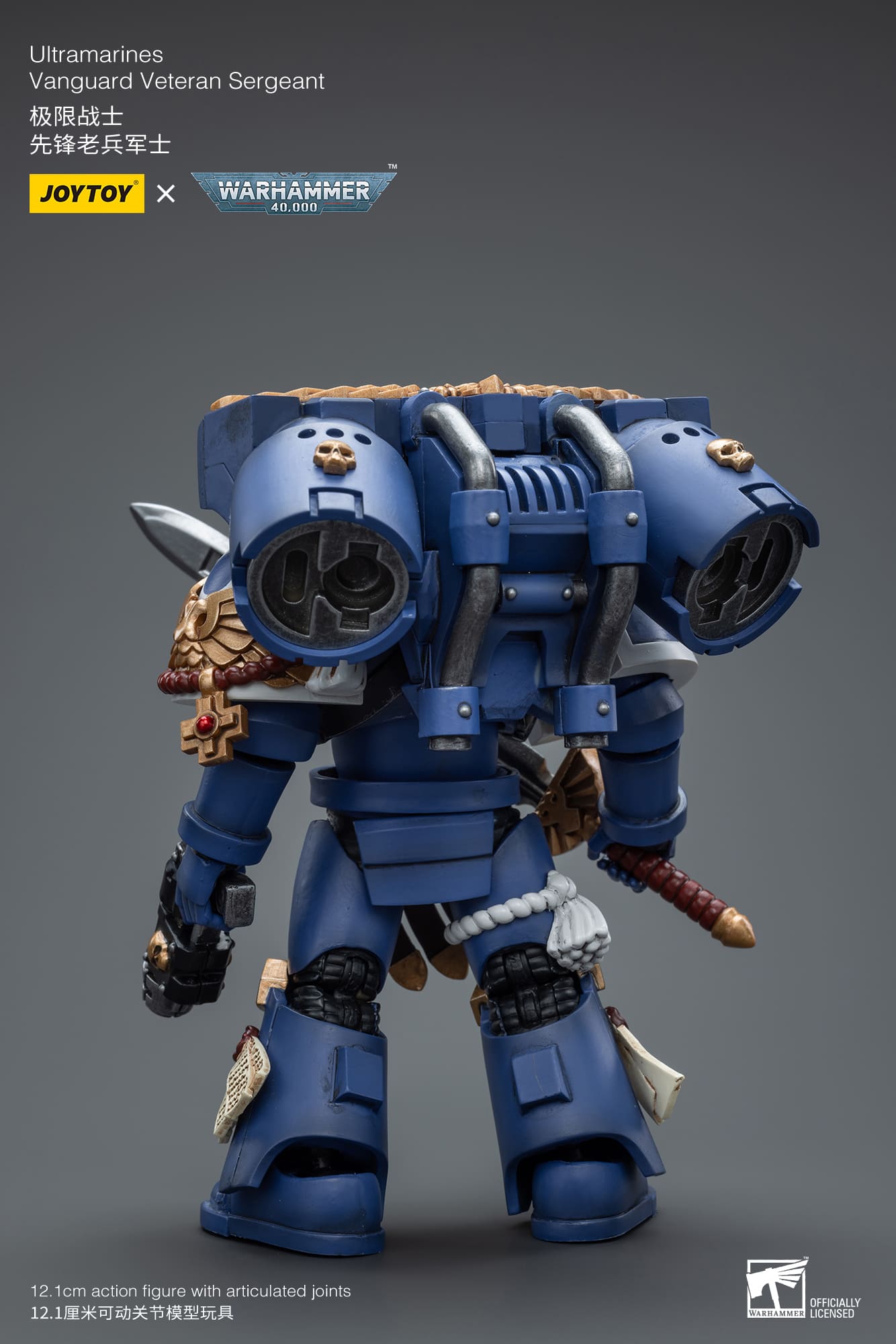 Ultramarines
Vanguard Veteran Sergeant