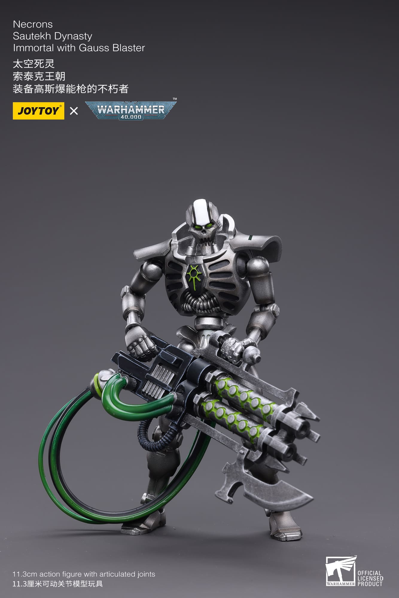 WH 40K-Necrons Sautekh Dynasty Immortal with Gauss Blaster