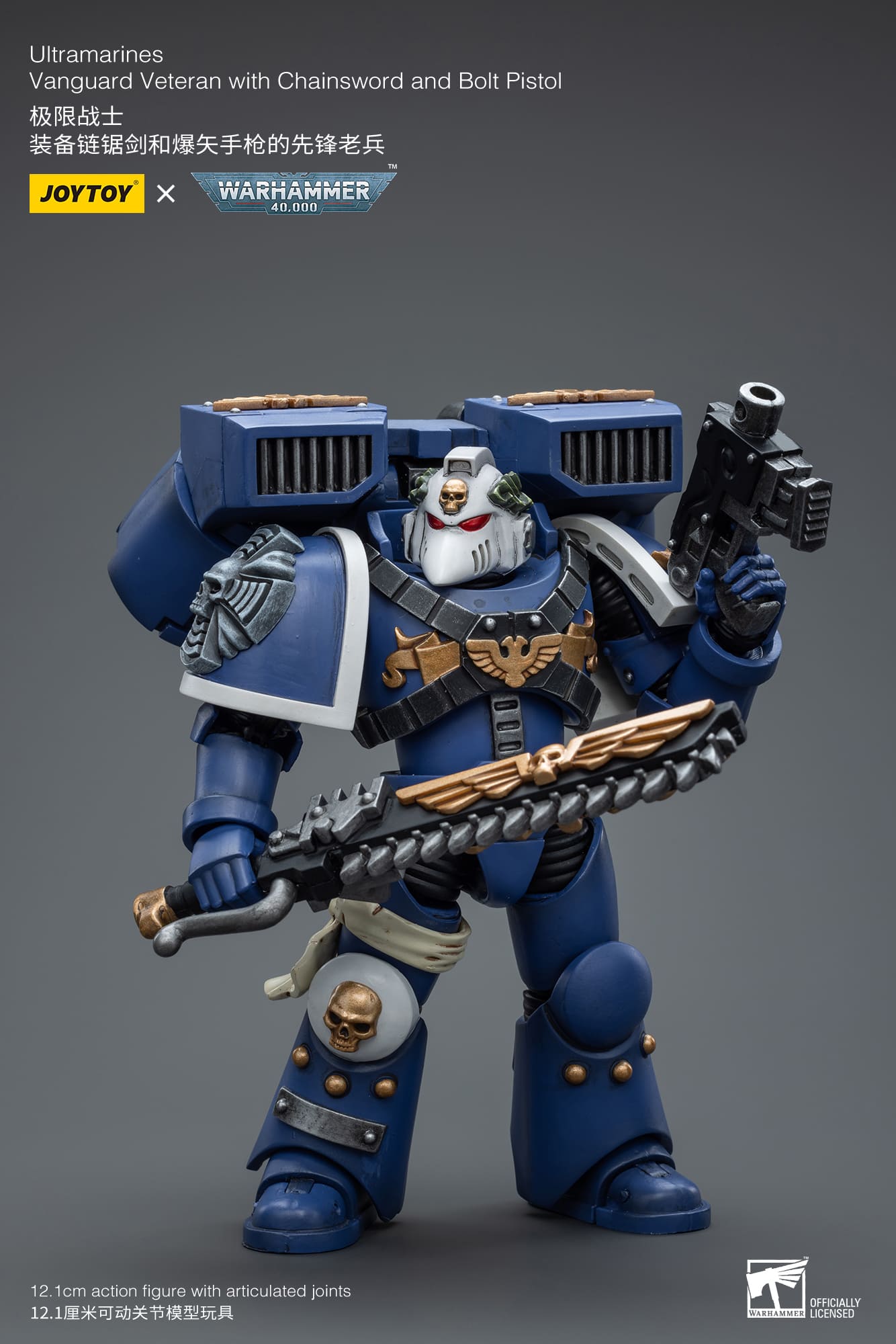 Ultramarines
Vanguard Veteran with Chainsword and Bolt Pistol