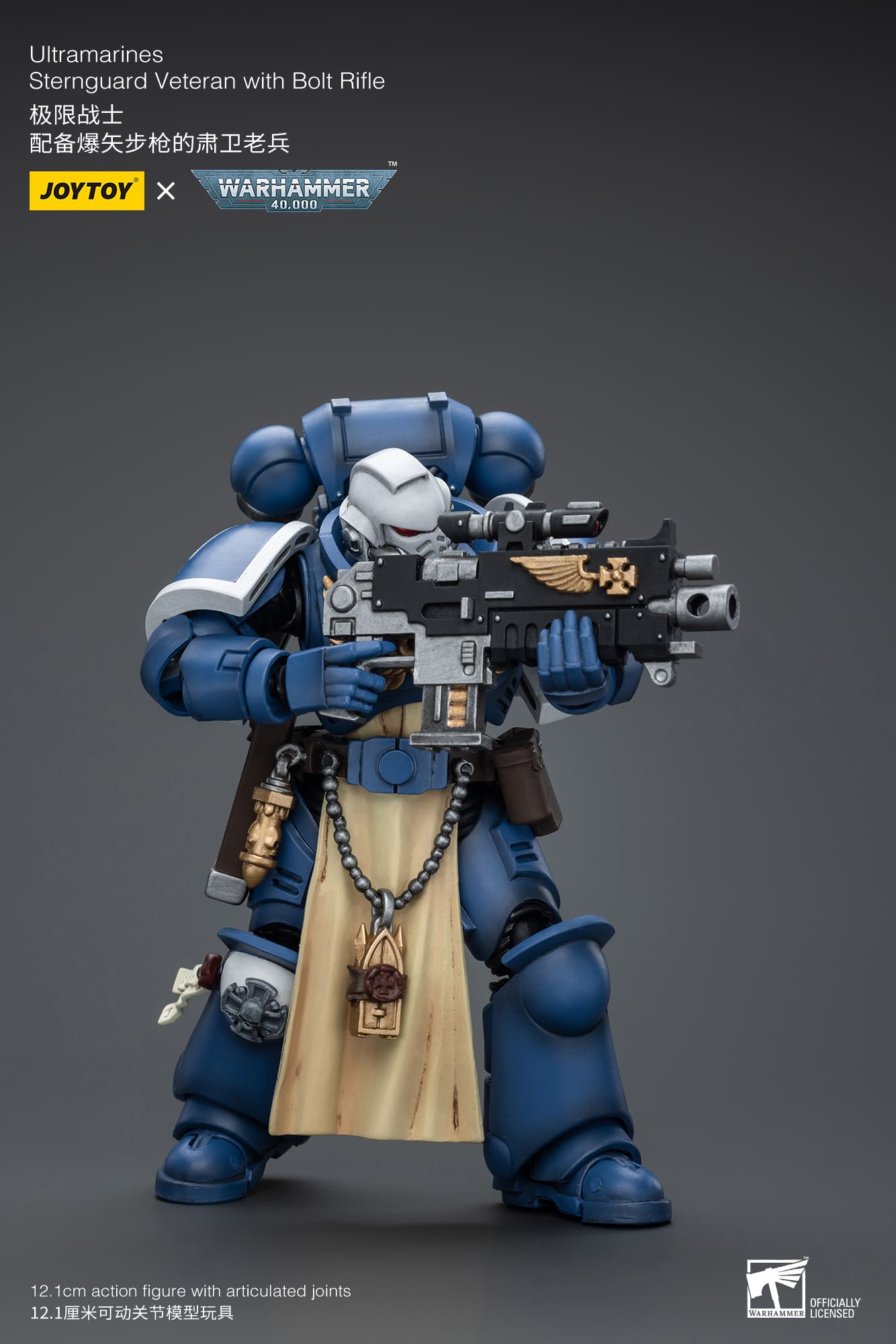 Ultramarines
Sternguard Veteran with Bolt Rifle