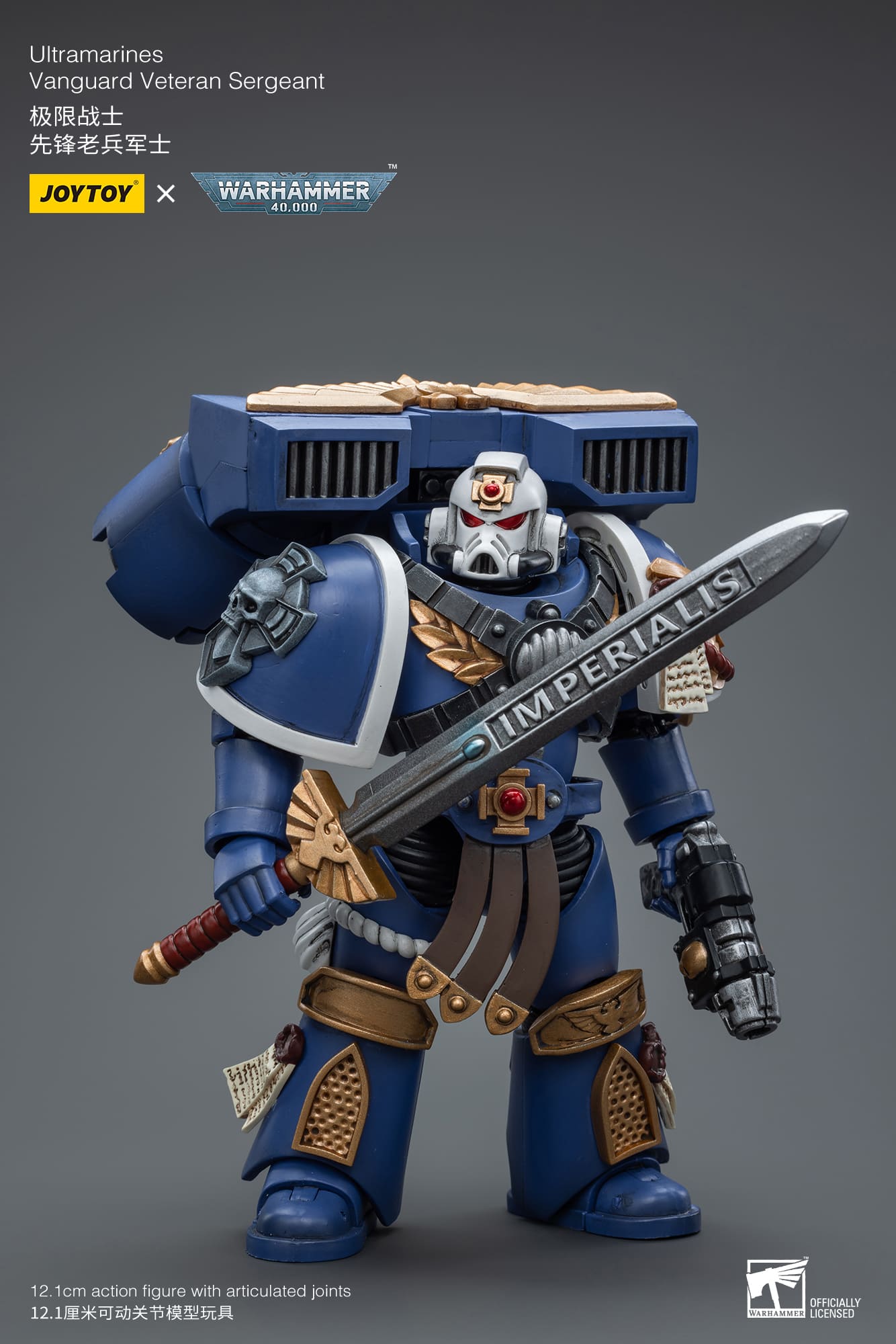 Ultramarines
Vanguard Veteran Sergeant