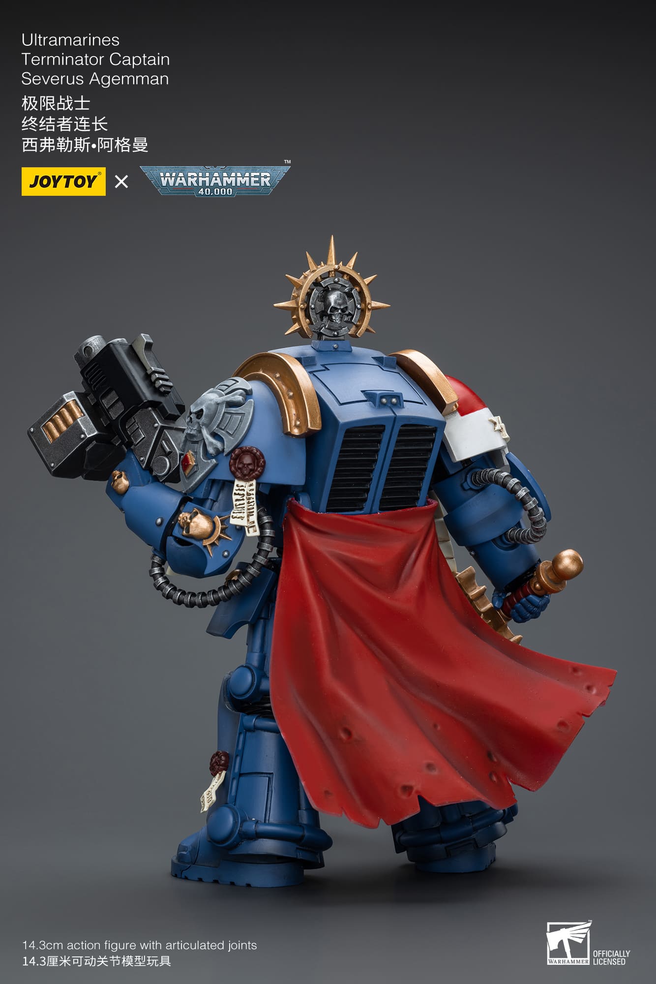 Ultramarines
Terminator Captain
Severus Agemman