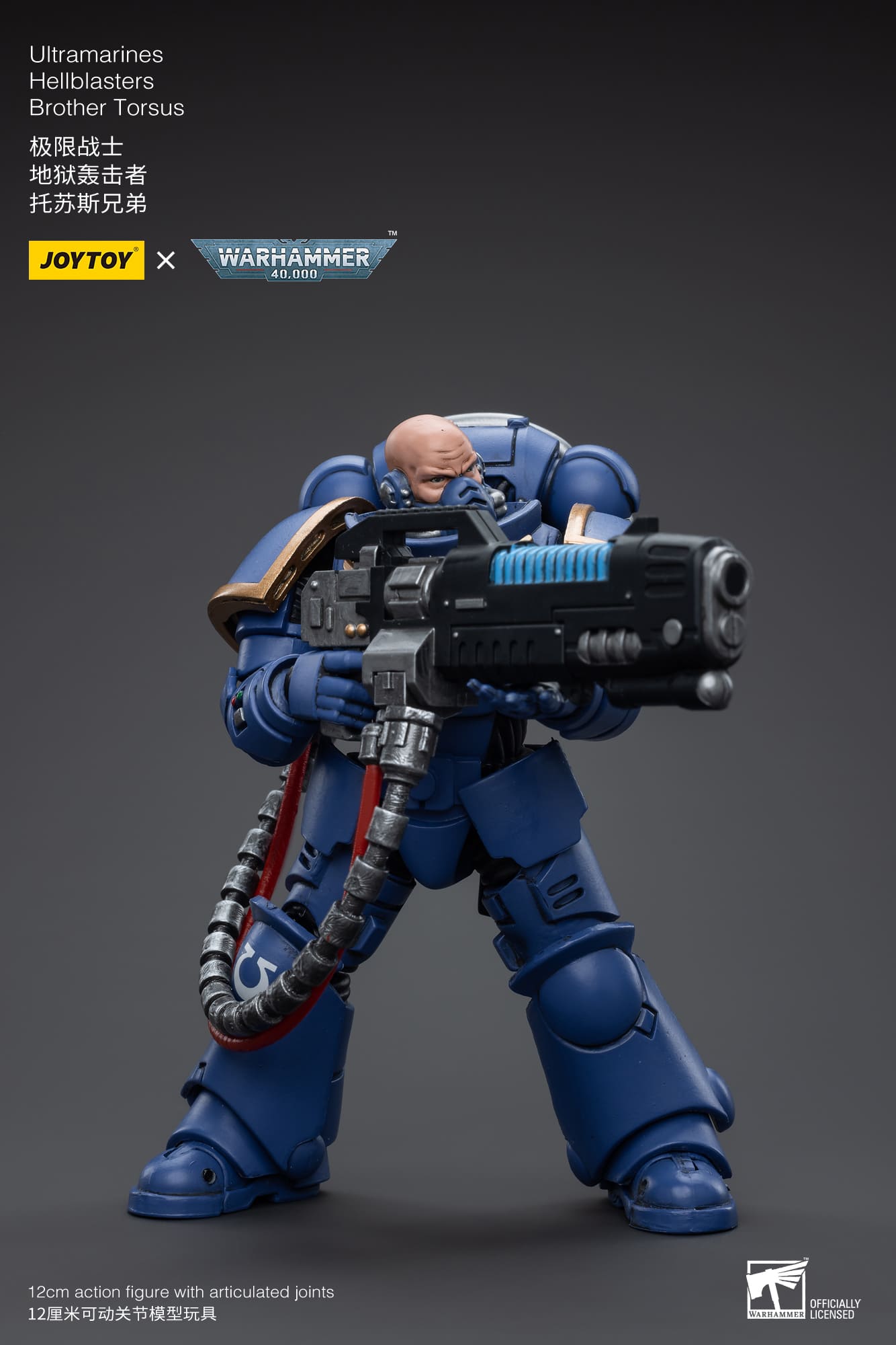 Ultramarines
Hellblasters
Brother Torsus