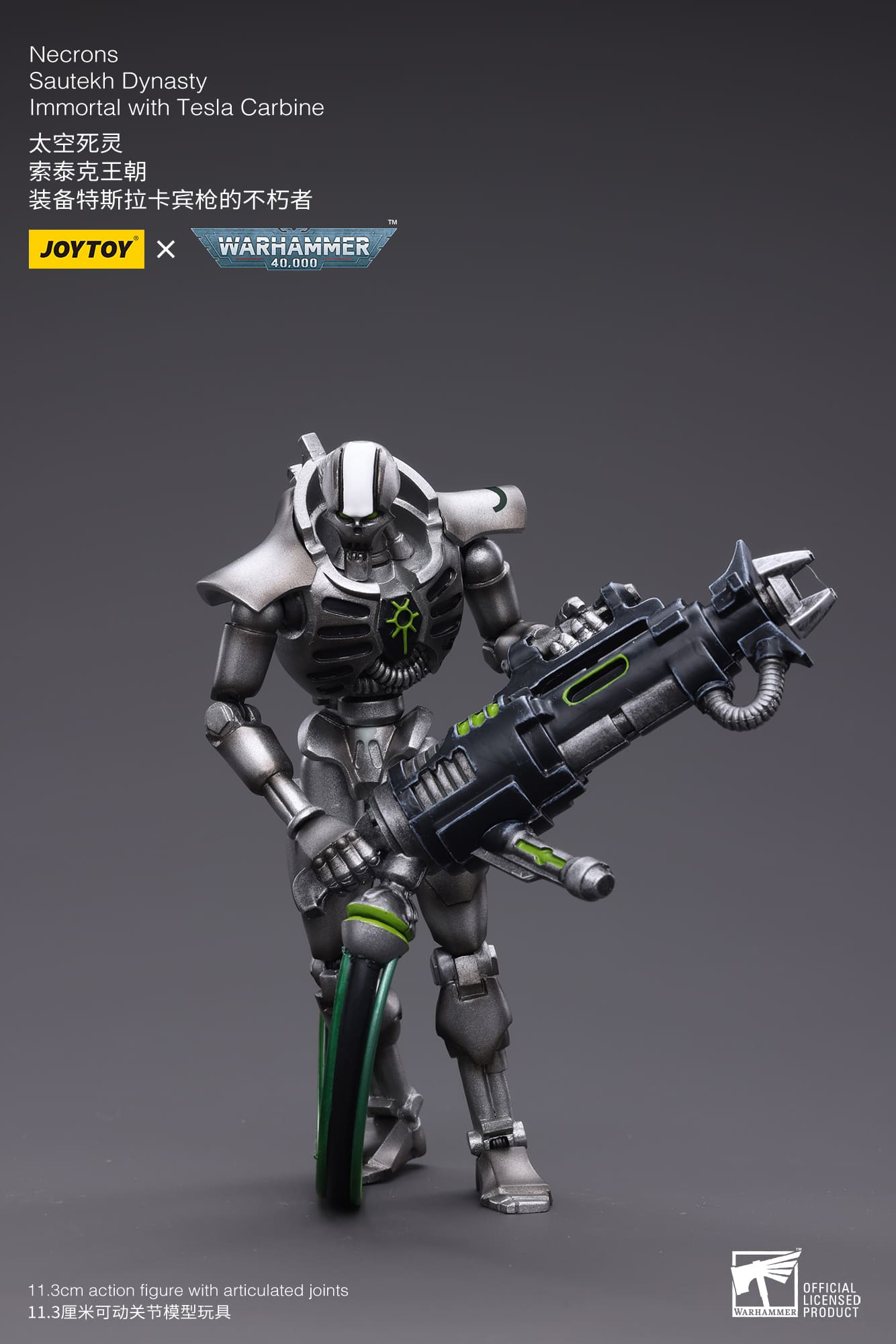 WH40K-Necrons Sautekh Dynasty
Immortal with Tesla Carbine