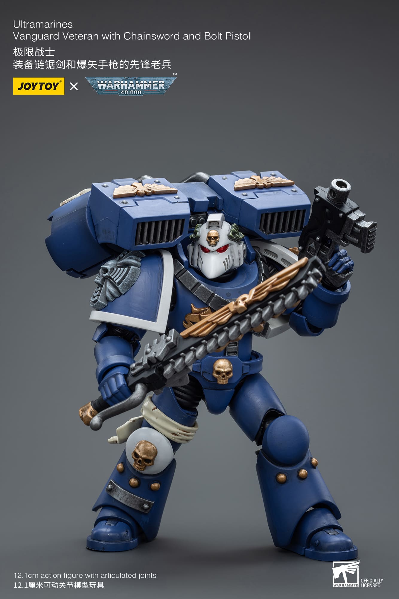 Ultramarines
Vanguard Veteran with Chainsword and Bolt Pistol