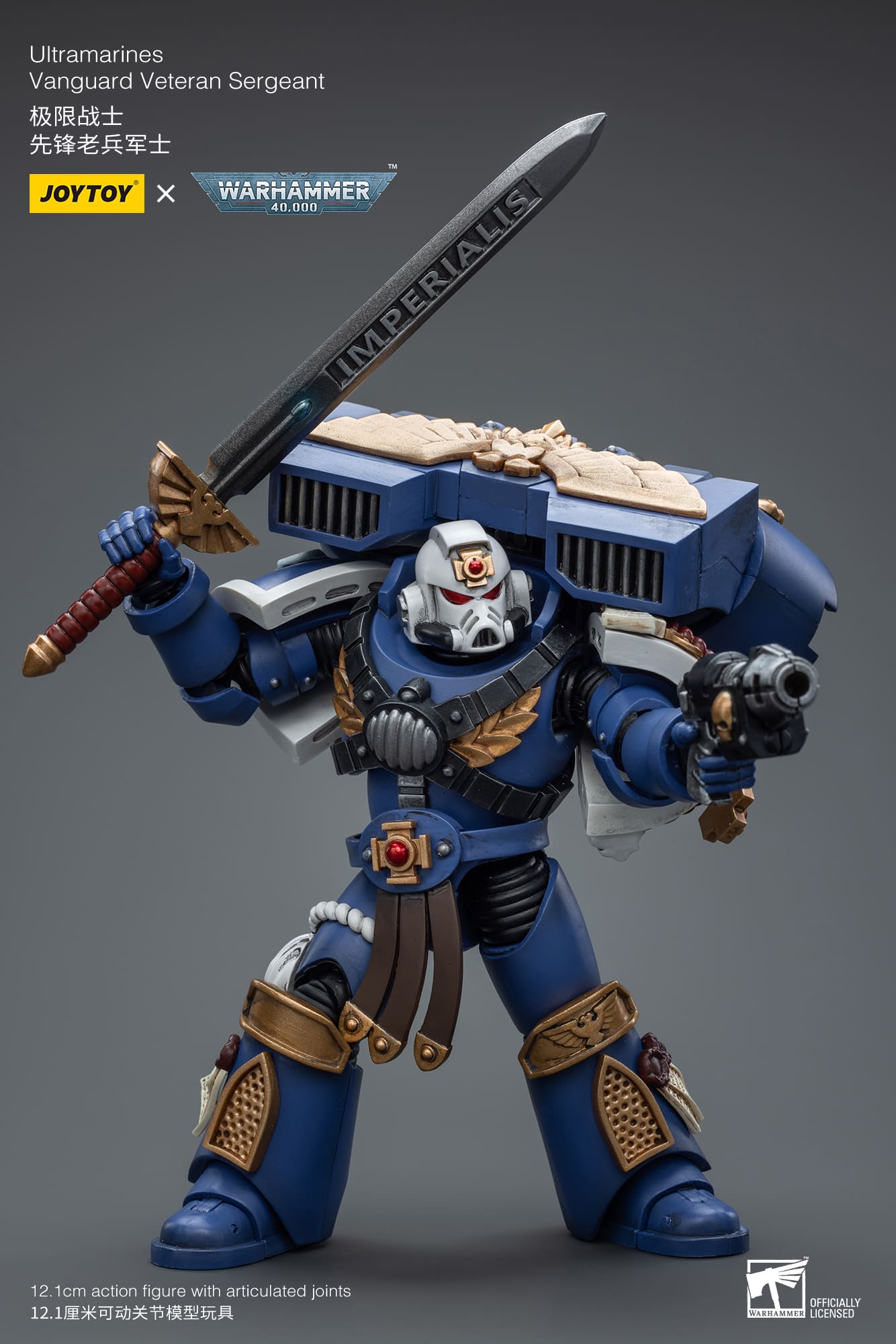 Ultramarines
Vanguard Veteran Sergeant