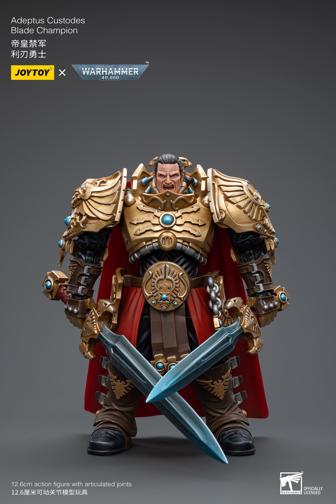 Adeptus Custodes
Blade Champion