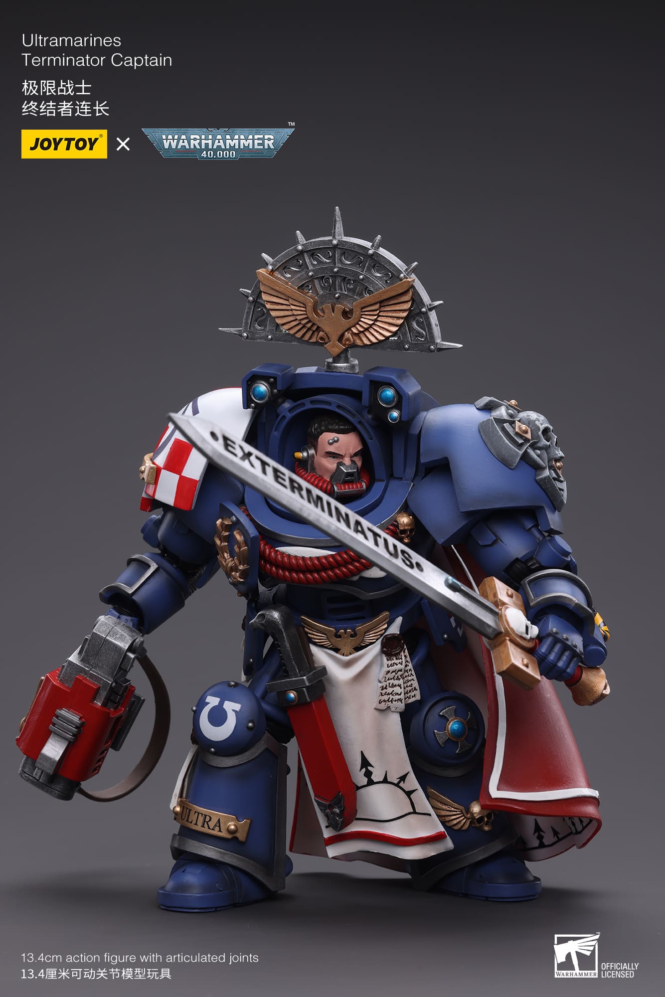 Ultramarines
Terminator Captain