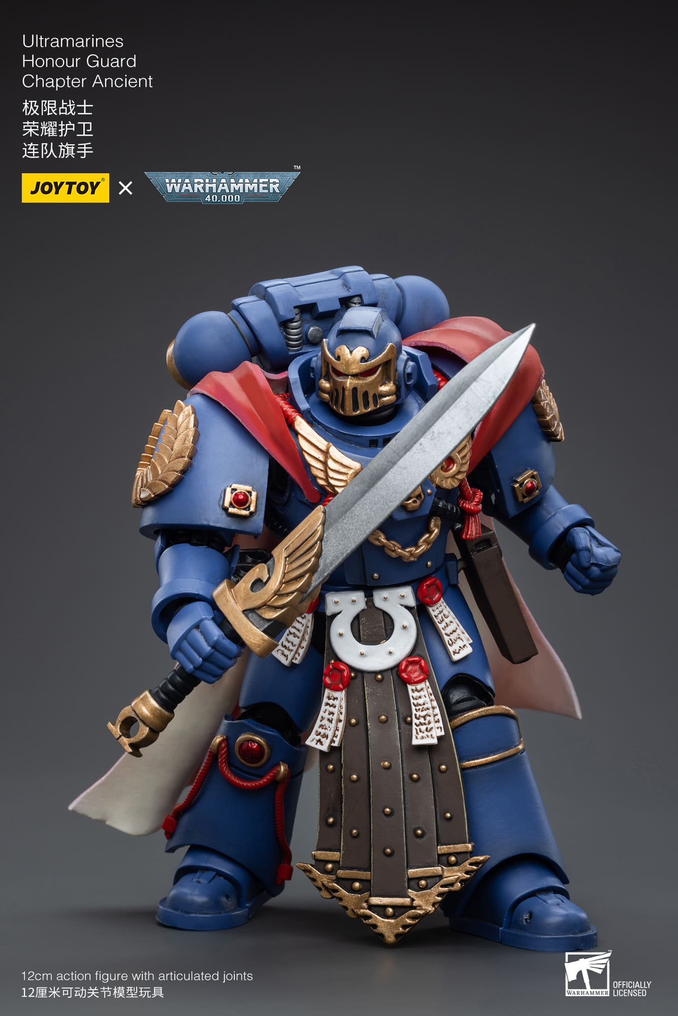 Ultramarines
Honour Guard
Chapter Ancient