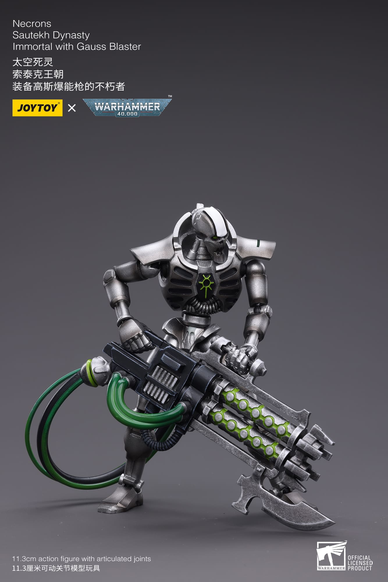 WH 40K-Necrons Sautekh Dynasty Immortal with Gauss Blaster