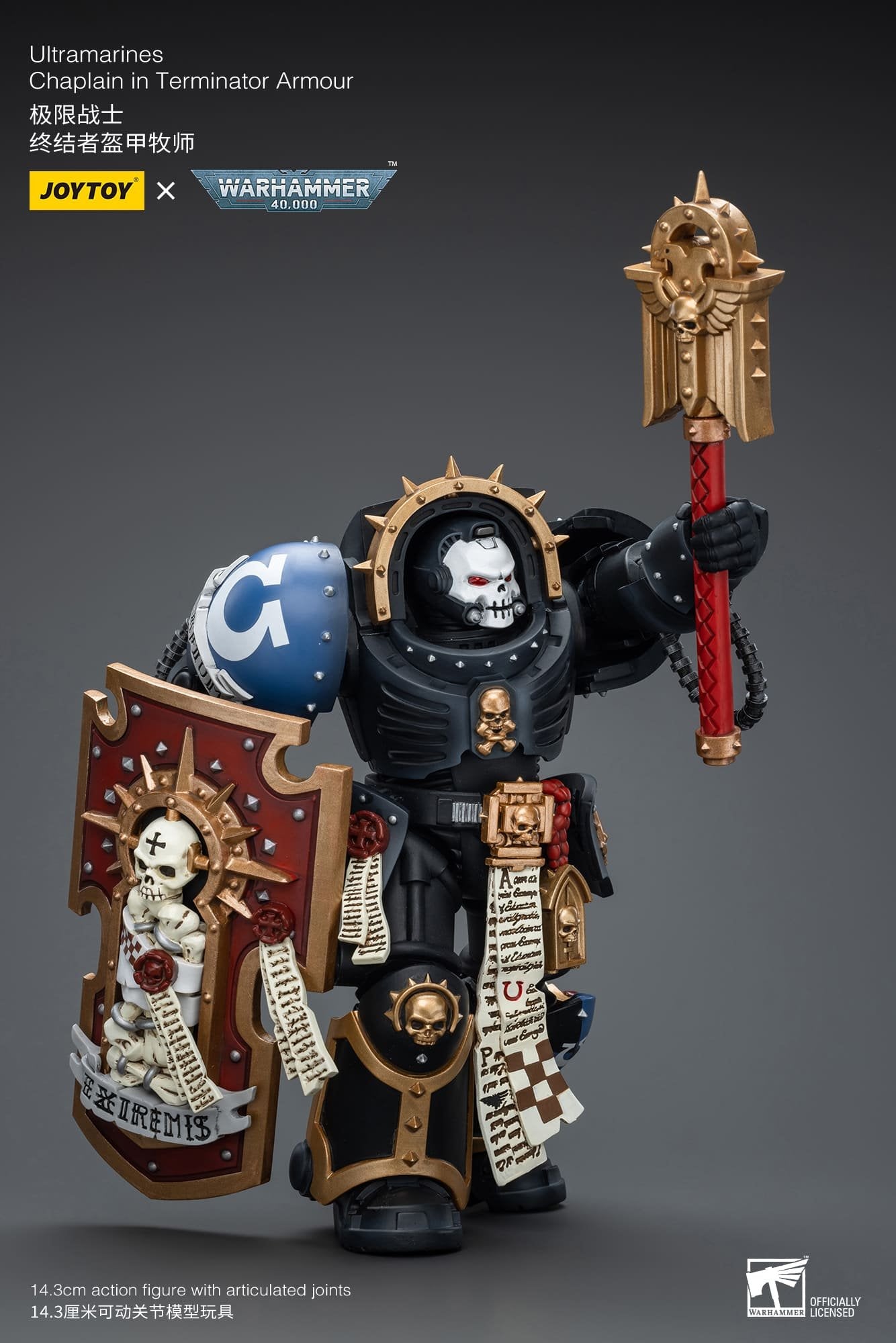 Ultramarines
Chaplain in Terminator Armour