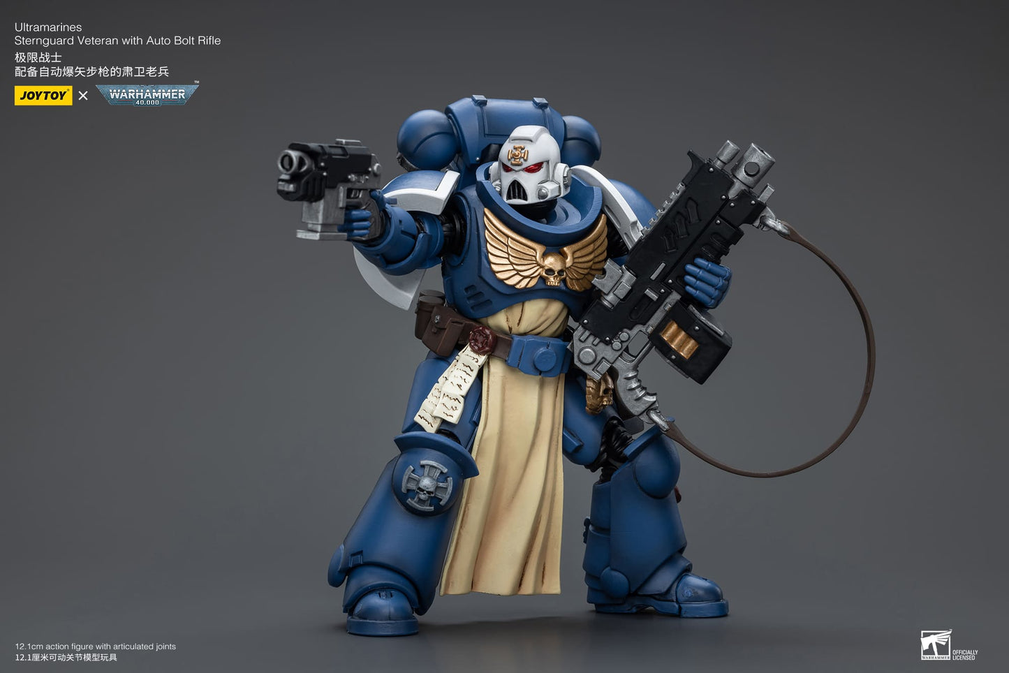 Ultramarines
Sternguard Veteran with Auto Bolt Rifle