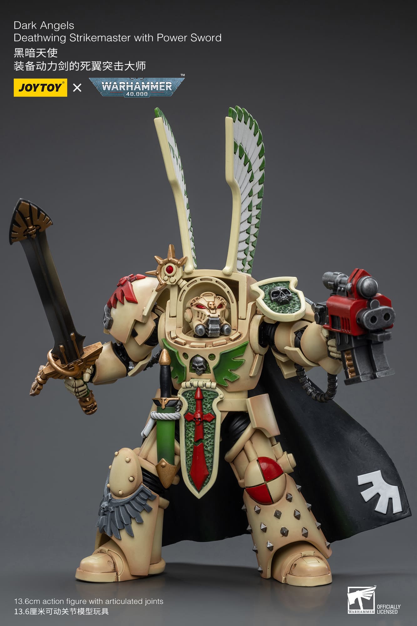 Dark Angels
Deathwing Strikemaster with Power Sword