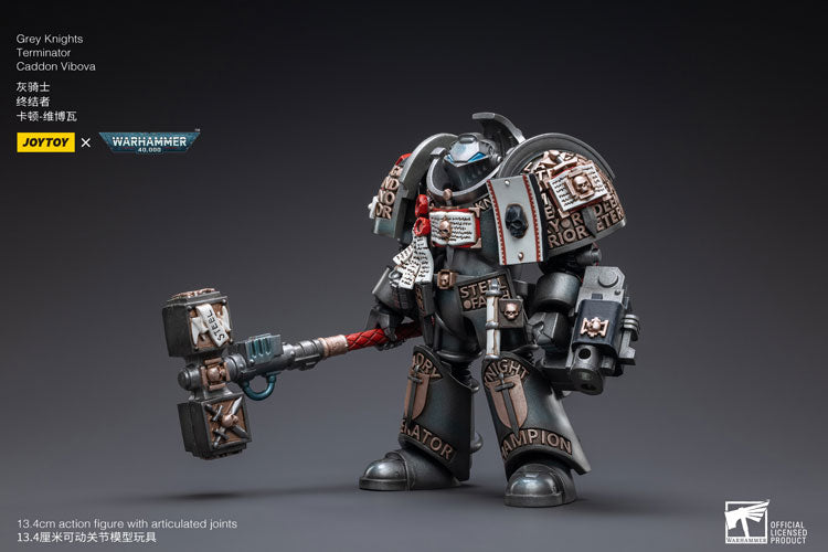 Grey Knights 
Terminator 
Caddon Vibova