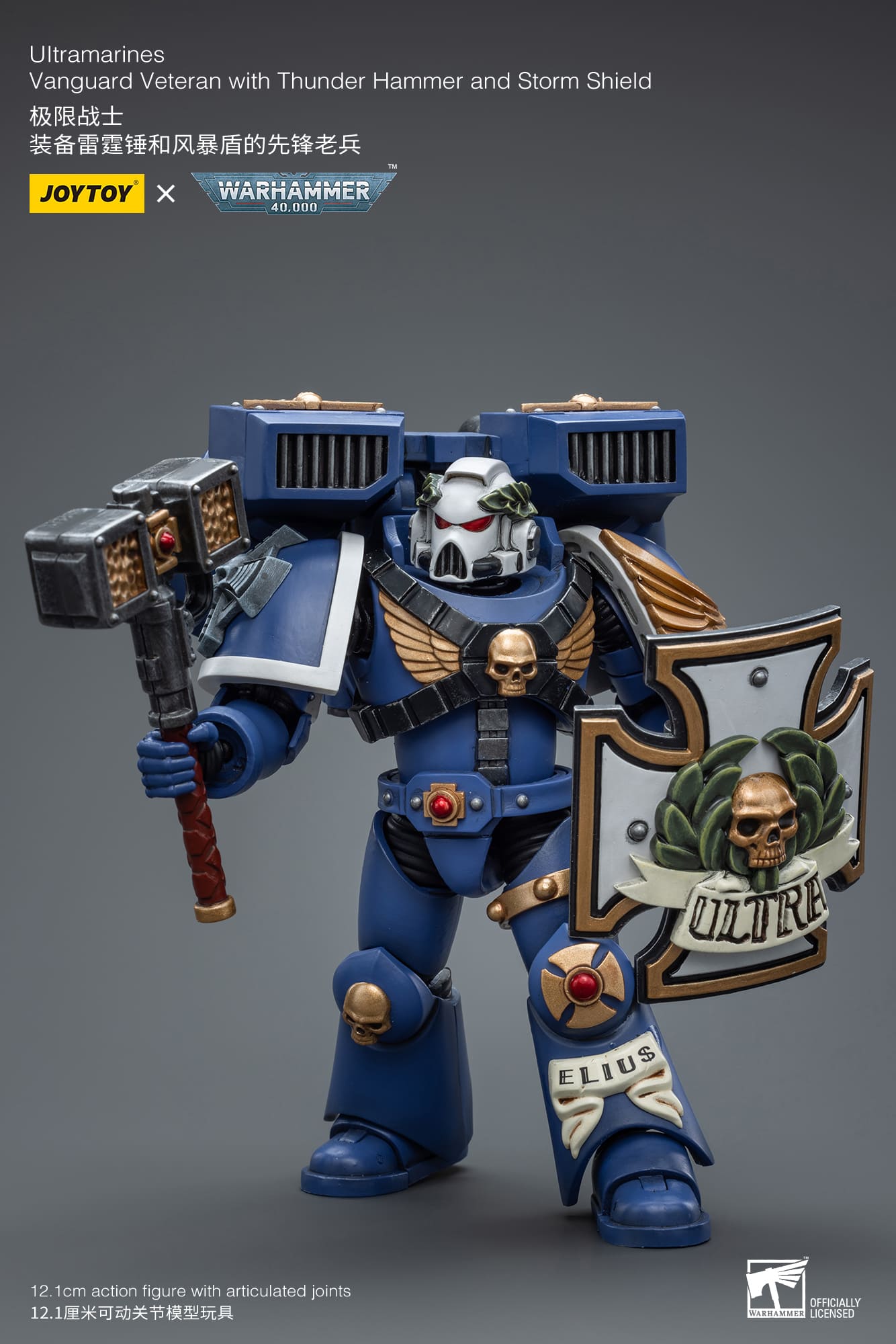 Ultramarines
Vanguard Veteran with Thunder Hammer and Storm Shield