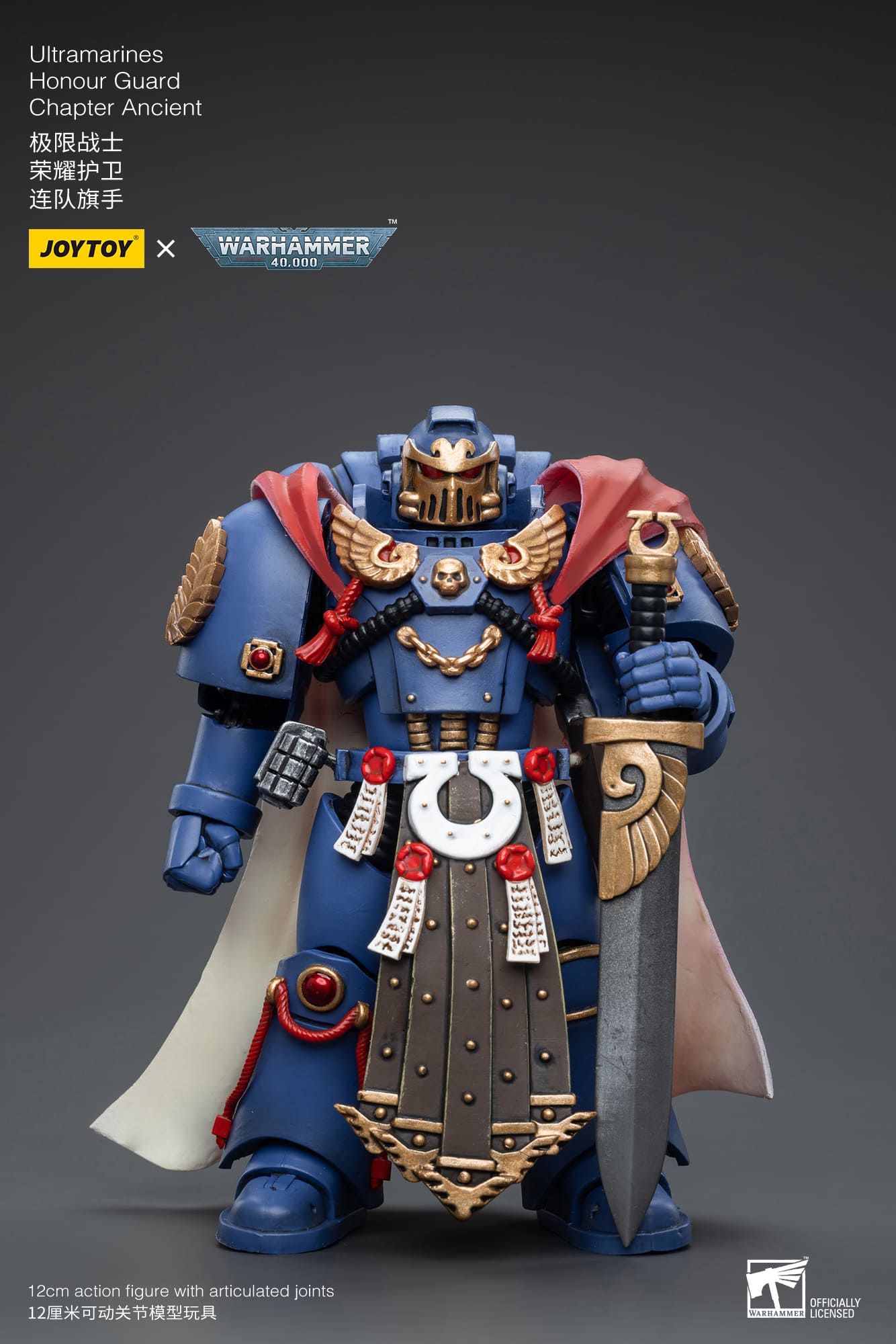 Ultramarines
Honour Guard
Chapter Ancient