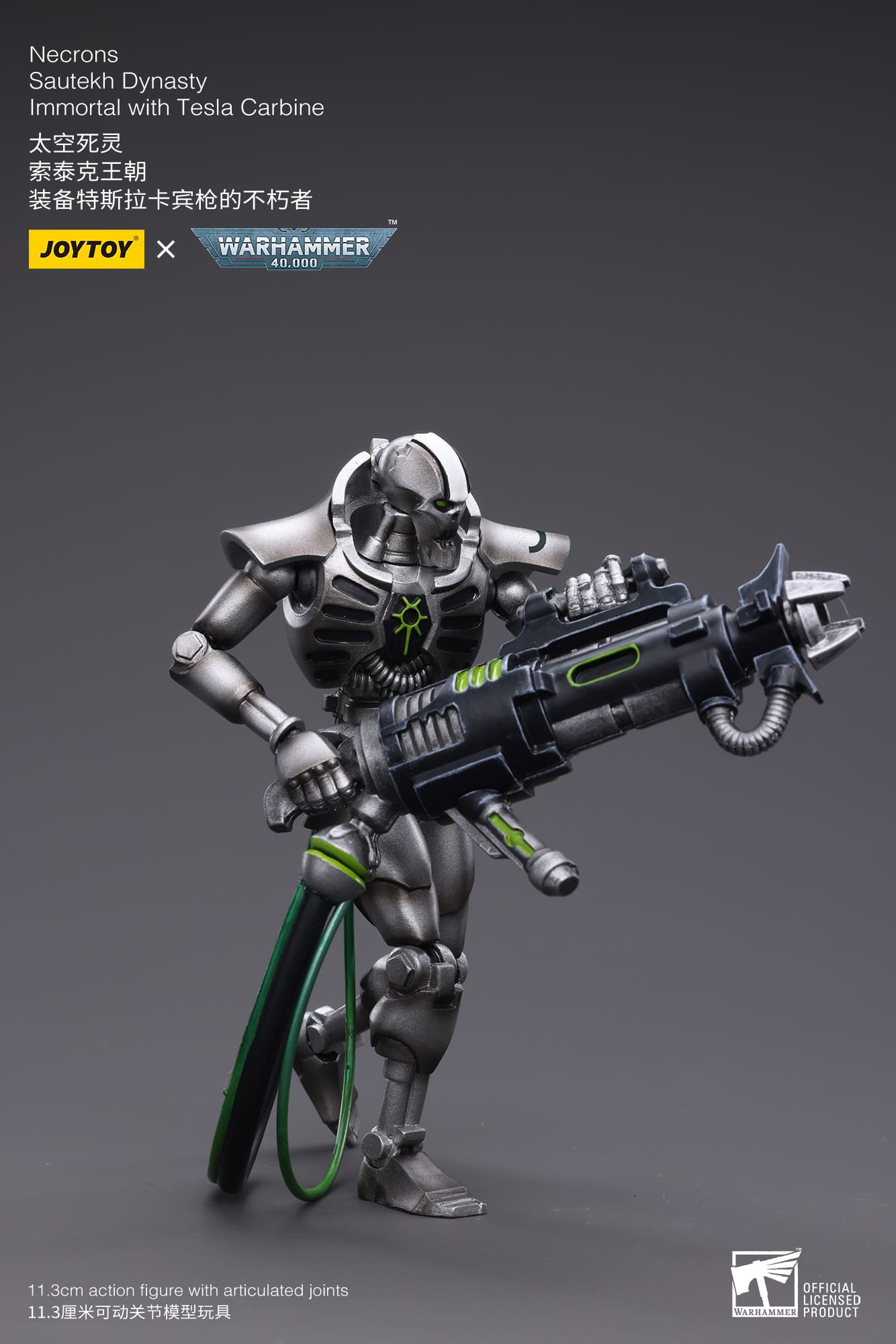 WH40K-Necrons Sautekh Dynasty
Immortal with Tesla Carbine