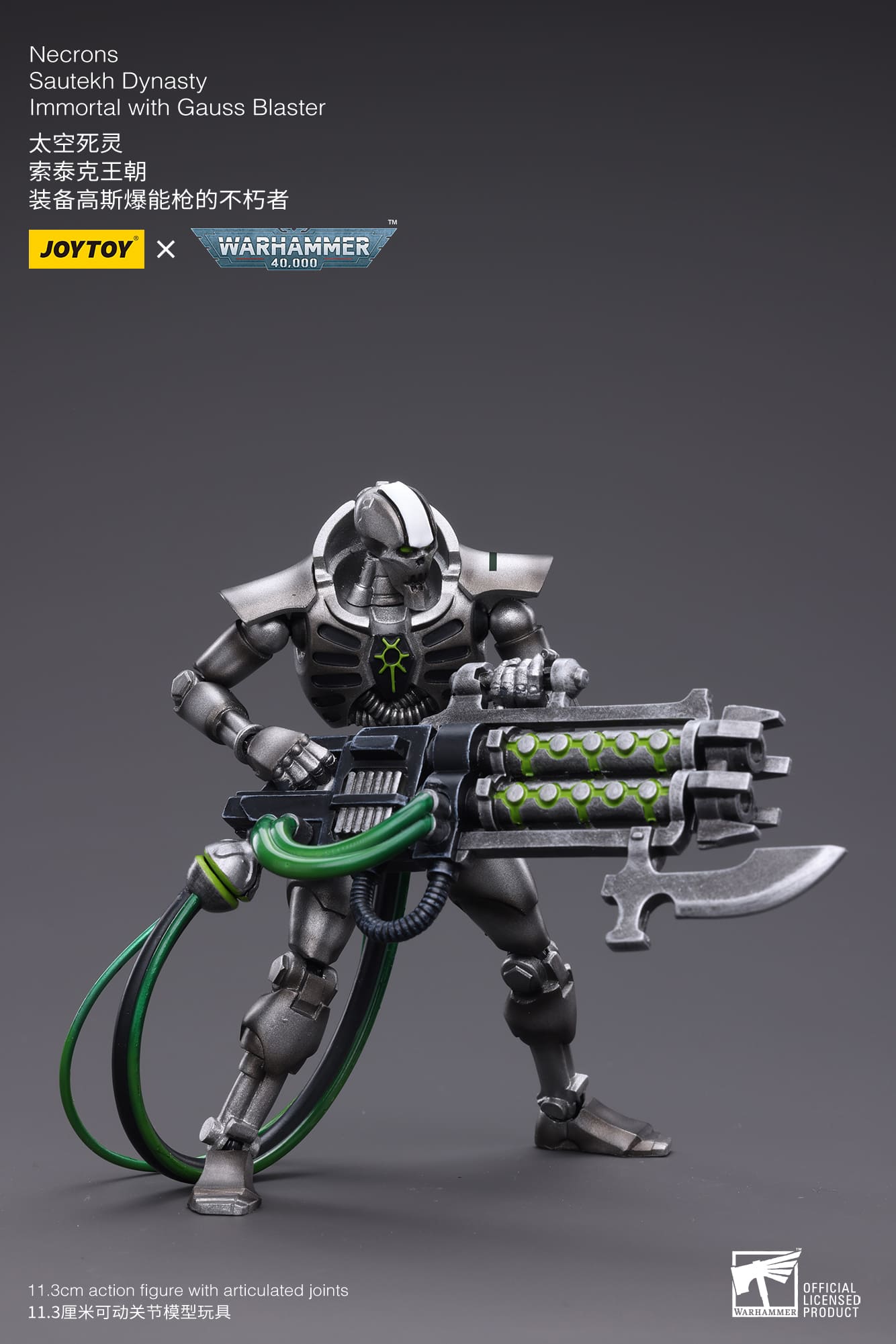 WH 40K-Necrons Sautekh Dynasty Immortal with Gauss Blaster