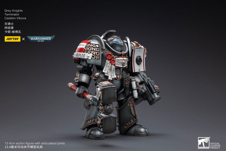 Grey Knights 
Terminator 
Caddon Vibova