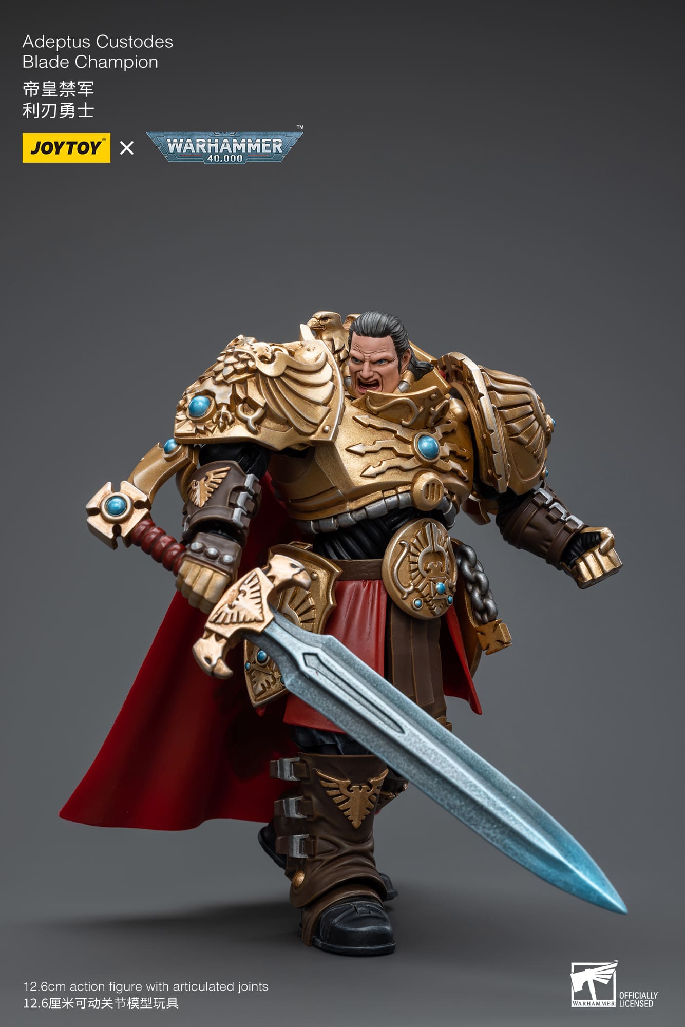 Adeptus Custodes
Blade Champion