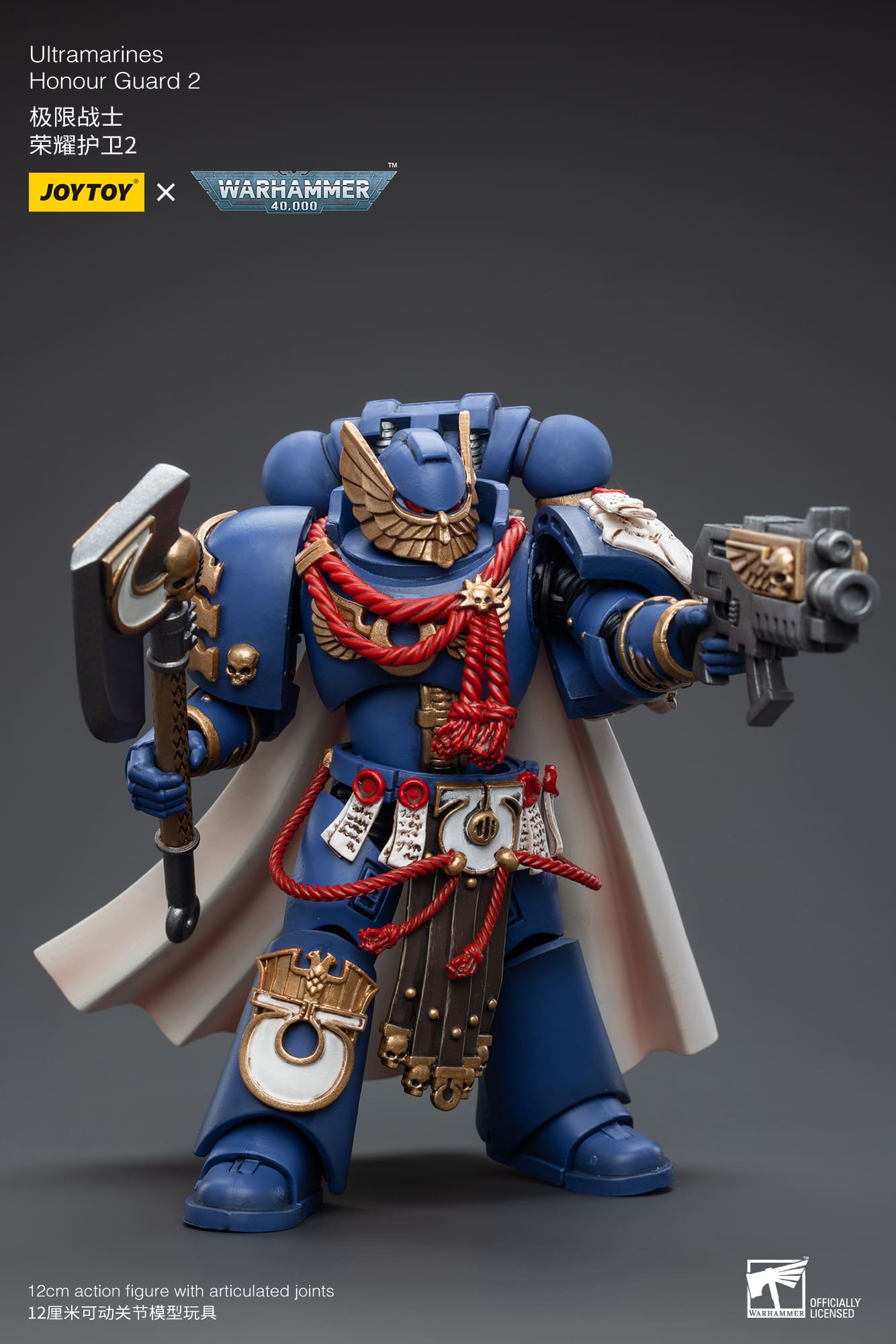 Ultramarines
Honour Guard  2