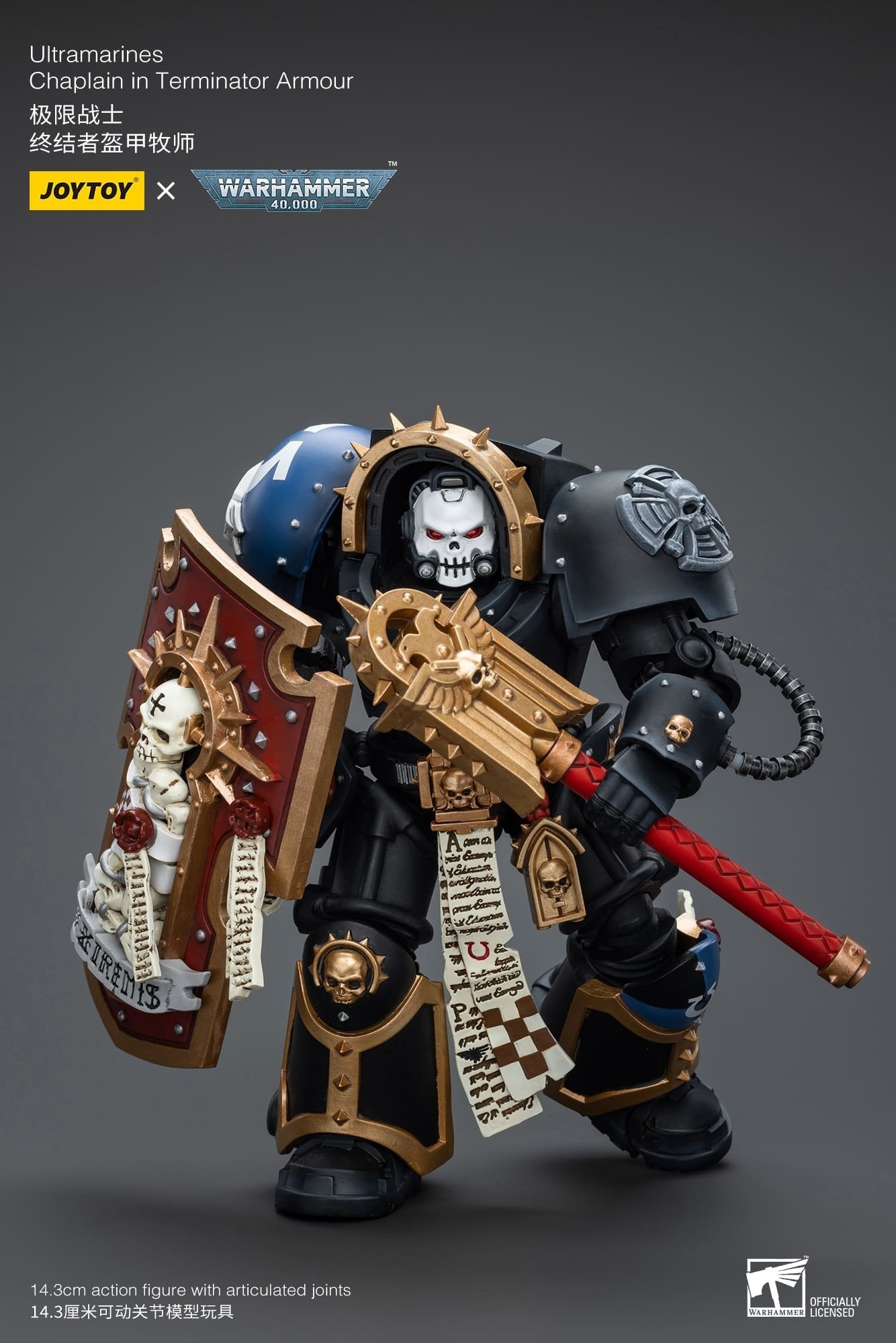 Ultramarines
Chaplain in Terminator Armour