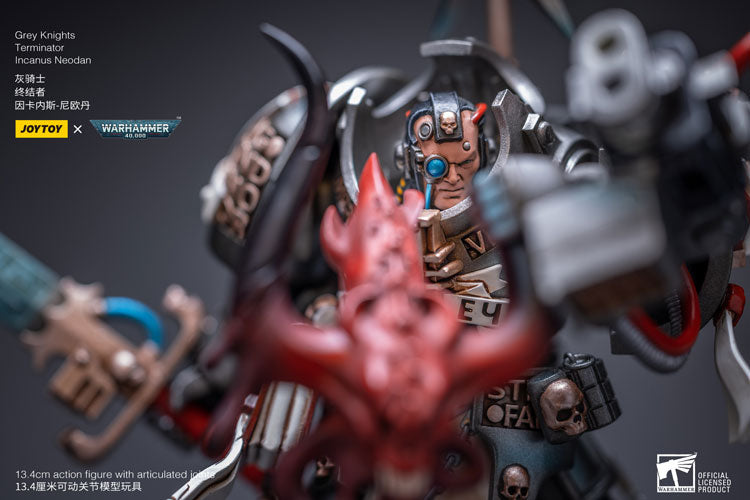 Grey Knights 
Terminator 
Incanus Neodan