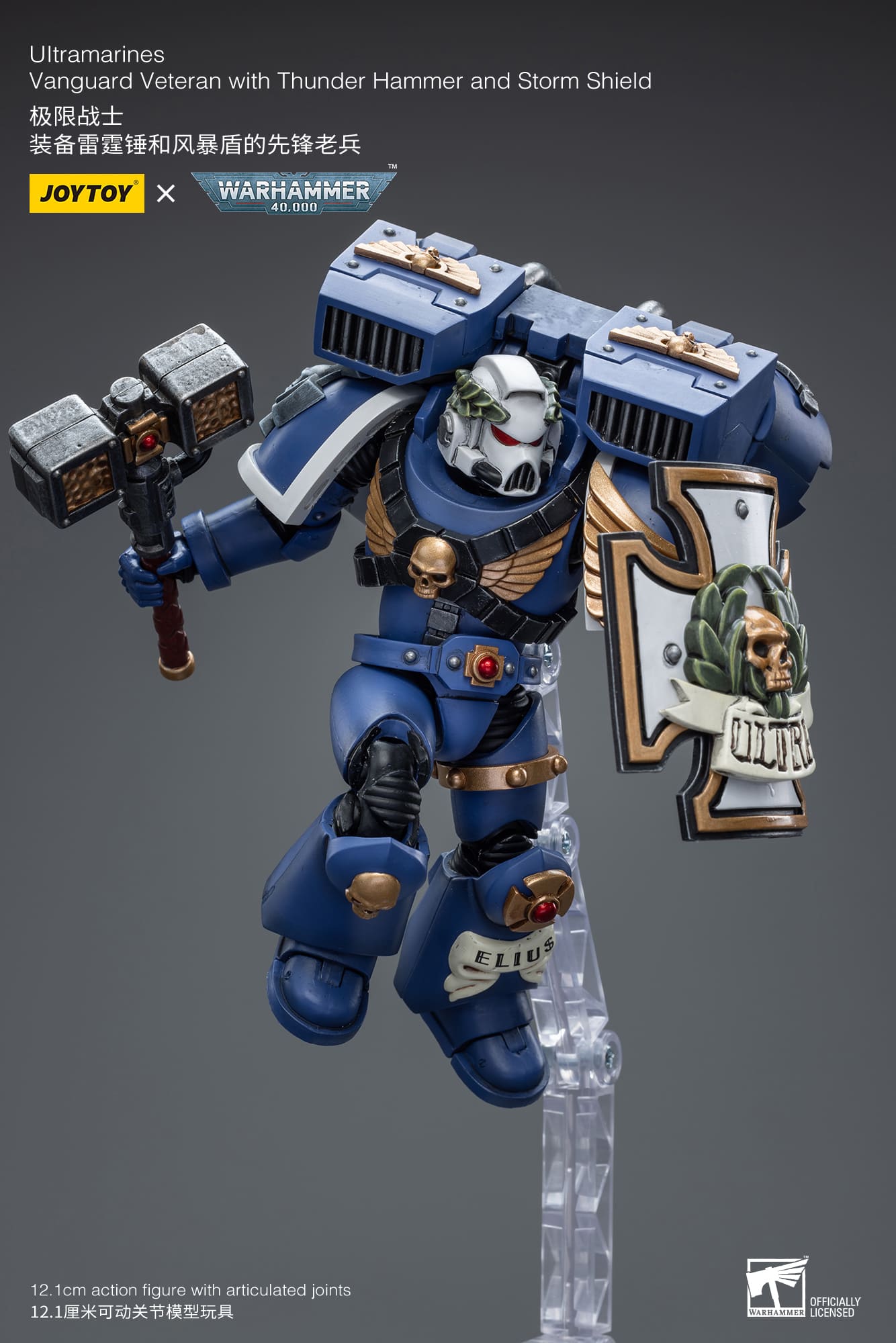 Ultramarines
Vanguard Veteran with Thunder Hammer and Storm Shield