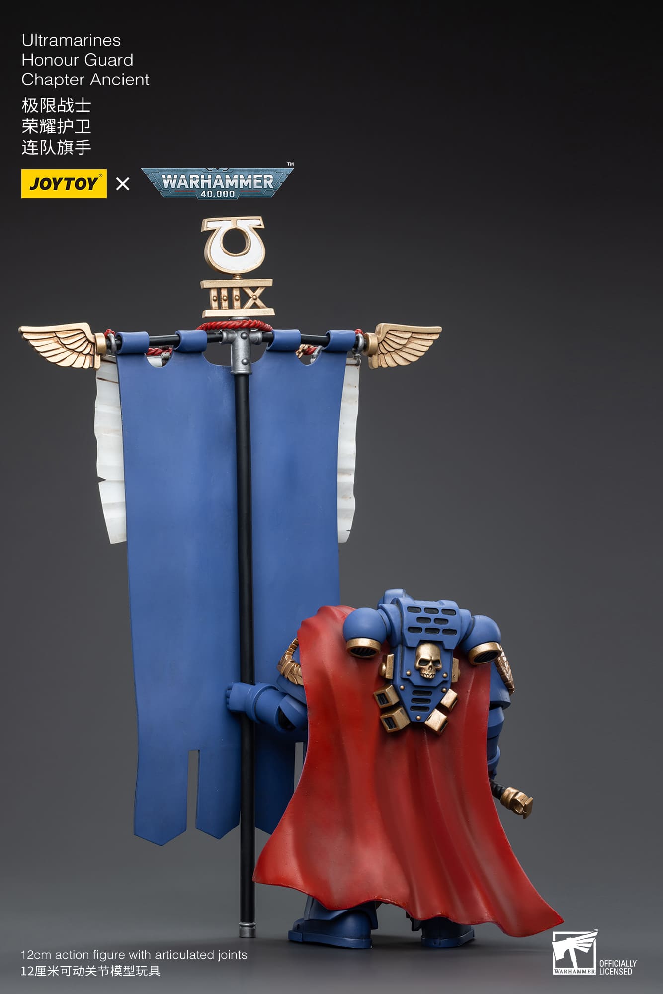 Ultramarines
Honour Guard
Chapter Ancient